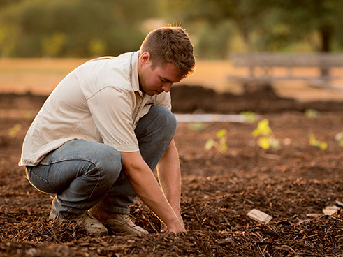 farmer digging in the dirt
