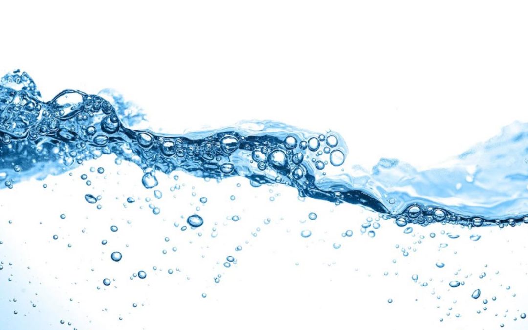 Phosphorus Loss in Surface Water
