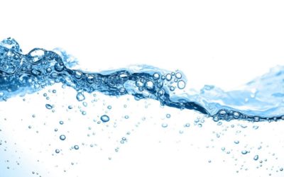 Phosphorus Loss in Surface Water
