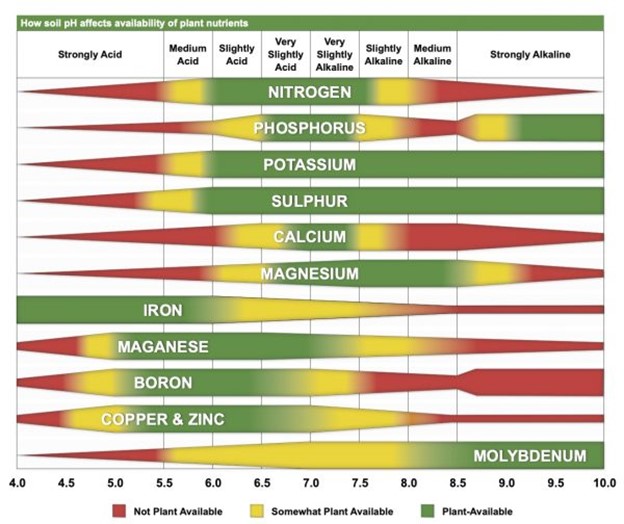 Increasing Fertilizer Efficiency Through pH Management