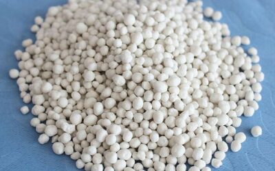 Micronutrient Spotlight – Chlorine  (Part 3 in series)