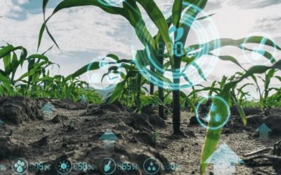 Ag Retailers Focus Part 2 of 3 – Retailers Assist Customers in Precision Application of Nutrients