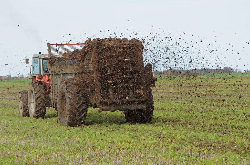 Using Nutrients from the Right Rate Gets Producers the Best Bang for Their Buck