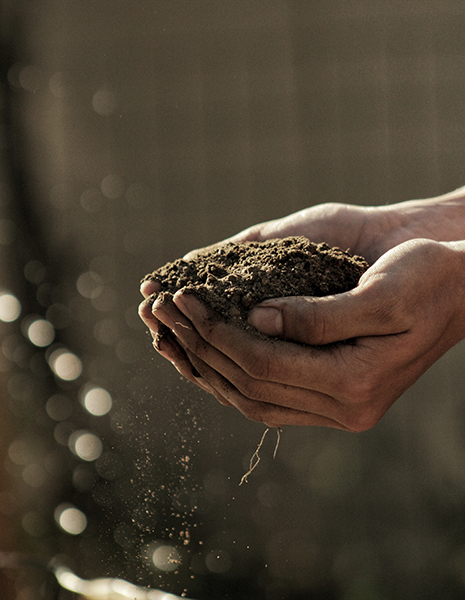 two hands holding a lump of soil